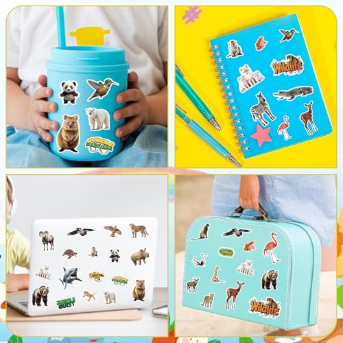 312Pcs Jungle Animal Stickers, Realistic Safari Animal Decorations Stickers for Scrapbooks Envelopes Cards Gifts Crafts Decor - style: Jungle Animal
