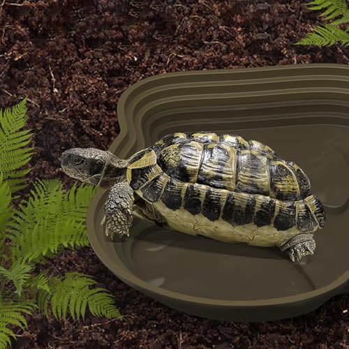 Amphibians Feeding Soaking Pool Multifunctional Reptiles Habitat Water Feeding Bowl Platform with Step Design Reptiles Sunbathing and Station - color: Green brown, size: Large