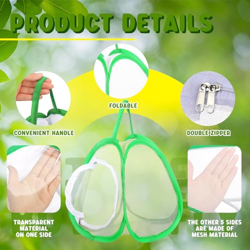 Hiboom 6 Pcs Mini Butterfly Habitat Cage 10 x 9 x 9 Inch Collapsible Insect Mesh Cage Portable Butterfly Net Habitat Enclosure with Zipper for Transporting and Raising - style: Five Mesh Panels