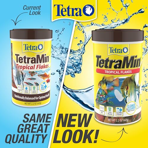 TetraMin Tropical Flakes Fish Food, 2.2 oz | Complete Daily Diet For Top-And-Mid Feeding Tropical Fish, Protein For Growth & Prebiotics for Digestion, Clear Water Formula - size: 2.2 Ounce (Pack of 1)