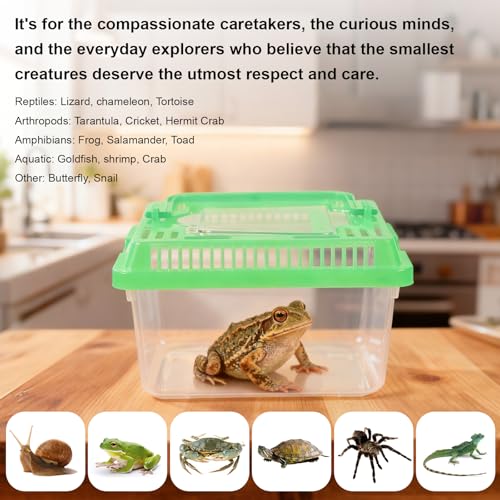 20 Pack Small Plastic Reptile Carrier, Tarantula Enclosure Breeding Box with Handle and Ventilation Lid, for Spider Lizard Turtle Hermit Crab Fish, 5.1 x 3.5 x 3.5 Inch, Multi-Color - size: 5.1 X 3.5 X 3.5 Inch