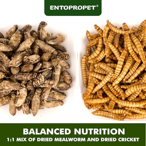 Dried Mealworms & Crickets Medley Treat for Bearded Dragons 5oz | High calcium,rich protein,for turtles,tropical fish,birds,freeze dried crickets,premium quality,additive free - size: 5 Ounce (Pack of 1)
