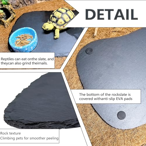 Reptile Basking Platform 13.5''x8.0'' Turtle Rock Slate Feeding Bowl Food Dish Feed Plate Tortoise Bathing Resting Slab for Lizard Gecko Bearded Dragon Chameleon Snake Frog - size: 13.5''x8.0''(1PCS)