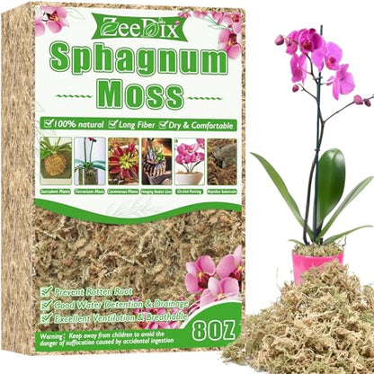 8 oz Sphagnum Moss for Indoor Plants, Natural Orchid Potting Mix for Repotting, Dried Long Fiber Sphagnum Peat Moss for Carnivorous Plants Succulents Reptile Habitats (Expands to 12 qt) - size: 8 ounces
