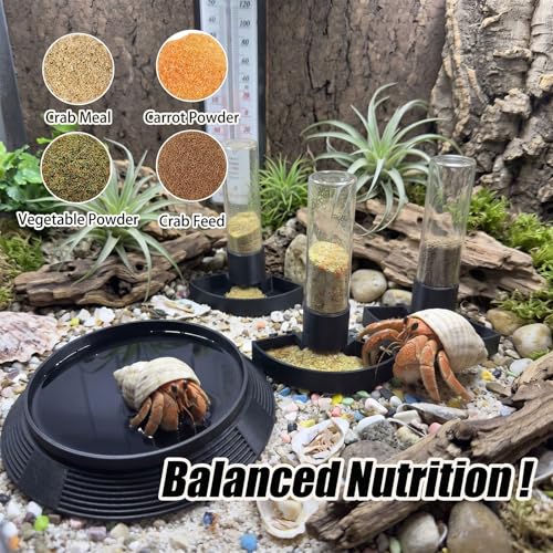 4-in-1 Hermit Crab Feeding Station - Integrated Nutrition and Hydration Center，3D-Printed Tank Accessories Made from Safe Materials, Suitable for Hermit Crabs and Small Reptiles. - color: Black