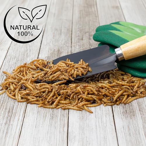 Soil Sunrise Carnivorous Plant Food Dried Mealworms (1oz), for Feeding Carnivorous Plants (Venus Fly Trap, Pitcher Plant, Sundews, Etc.)