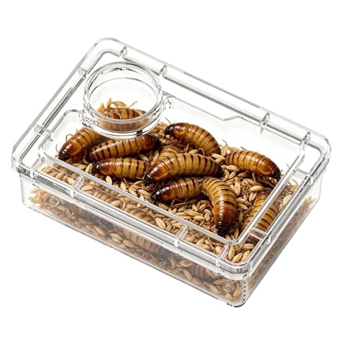 Bearded Dragon Food Bowl Clear Reptile Tank Accessories | Hermit Crab Food Bowl Lizard Feeder for Hermit Crab Frog Spider Chameleon Iguana Lizard Tarantula - color: White