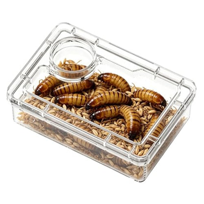 Bearded Dragon Food Bowl Clear Reptile Tank Accessories | Hermit Crab Food Bowl Lizard Feeder for Hermit Crab Frog Spider Chameleon Iguana Lizard Tarantula - color: White
