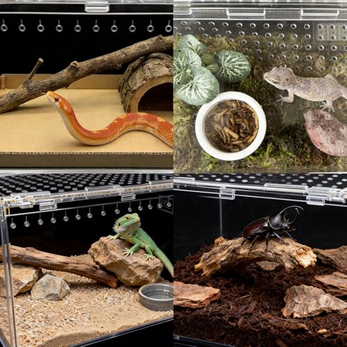 Reptile Terrarium Kit Small Gecko Tank Tarantula Isopods Insect Enclosure | Hermit Crab Tank,Acrylic,Box Packaging,with Moss Bottle Stands Tweezer Thermometer Hideout Food Bowl,for Frog Scorpion