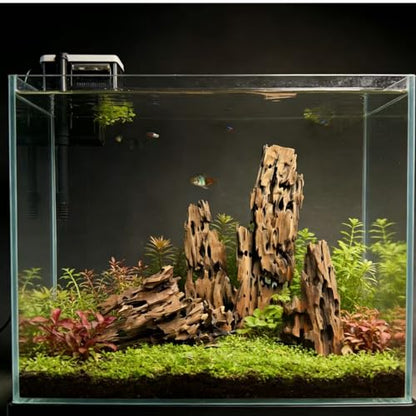 Aquarium Driftwood Shrimp Wood Natural Trunk & Assorted Branches 1.9-3.9" (5-10cm) Terrarium Ornament for Fish, Shrimp & Reptiles Habitat Decor, 5 Pcs