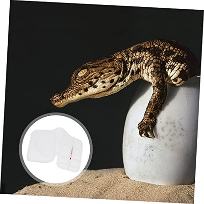 Happyyami Reptile Breeding Box Transparent Egg Incubator for Snakes Lizards Includes Thermometer Slot Efficient Hatching for Reptile Eggs