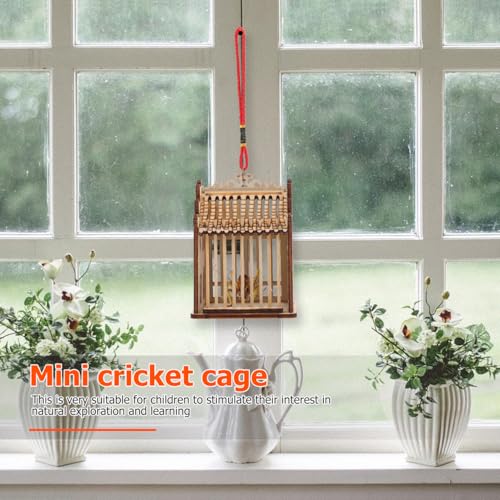 Abaodam Grasshopper Cage Portable Mini Cage for Wild Grasshopper Transport Reusable Catcher Container for Outdoor Exploration Small Animal Habitat 3.93 X 2.95 X 2.75 in