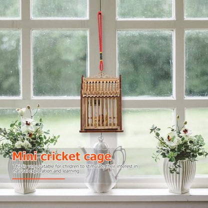 Abaodam Grasshopper Cage Portable Mini Cage for Wild Grasshopper Transport Reusable Catcher Container for Outdoor Exploration Small Animal Habitat 3.93 X 2.95 X 2.75 in