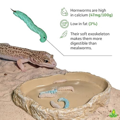 Josh's Frogs Hornworms Habitat Cup (12 Count Cup) - size: 12 Count (Pack of 1)