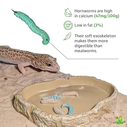 Josh's Frogs Hornworms Habitat Cup (12x6 Count Cup) - size: 12 Count (Pack of 6)