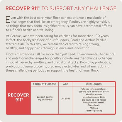 Recover 911, Poultry Water Supplement for Flock Emergencies,8oz | Use during flock challenges like extreme temperatures, predator attacks, molting, introducing new chickens & feather pecking. - size: 8 Ounce (Pack of 1), style: Recover 911