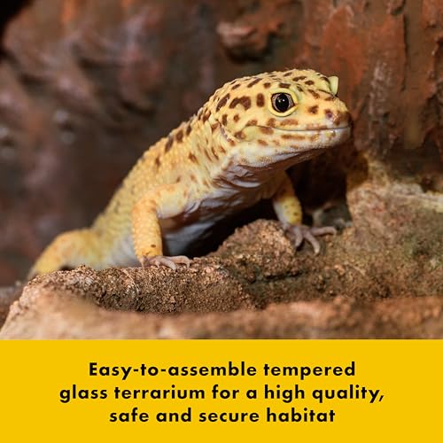 Zilla QuickBuild Reptile 40 Gallon Glass Terrarium Habitat with Swing Door For Geckos, Snakes, Lizards, Frogs, Turtles, and Tortoises, 36" x 18" x 18" - size: 36x18x18