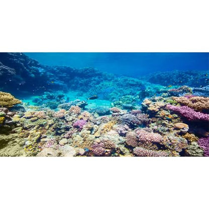 Aquarium Background Coral Tropical Undersea Fish Tank Backdrop 72x16 inches | AWERT Vivid Coral Reef Tropical Fish Print, Durable Polyester - size: 72 x 16 in
