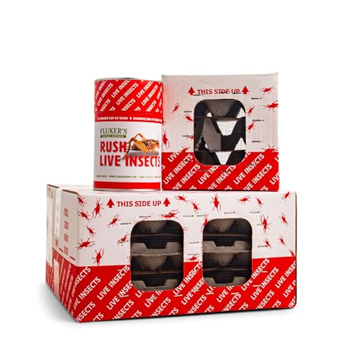 Fluker's Live Crickets for Reptiles, Chickens, Birds and Fishing, 100 Count Feeder Insects Gut Loaded with Orange Cube, High Calcium, and Vitamins, Shipped Fresh in a Ventilated Box (1/2 Inch) - size: 100 Count (Pack of 1), style: Medium, 1/2"