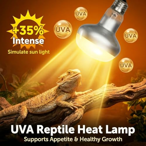 2Pack 100W Reptile Heat Lamp, Day & Night Basking Lamp Combo | UVA Daylight Heat Bulb & Infrared Red Night Heating Light, Terrarium Heat Lamps for Reptiles, Bearded Dragon, Lizard, Chicken