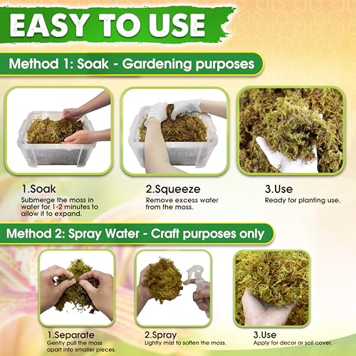 5 Oz Real Dried Forest Moss for Potted Plants, Plant Propagation | Hand-Picked & Clean, Easy to Rehydrate, Balanced Moisture, Forest Orchid Moss for Potting Mix,Moss Soil Cover for Houseplants - size: 5 Oz
