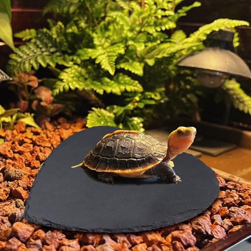 Reptile Basking Platform, 10 × 10 inch Tortoise Rock Plate, Heart Shape Natural Rock Reptile Food Dish, Turtle Feeding Bowl, Habitat Decor for Bearded Dragon Chameleon Frog Lizard Gecko Hermit Crab - size: M - 10 × 10 inch