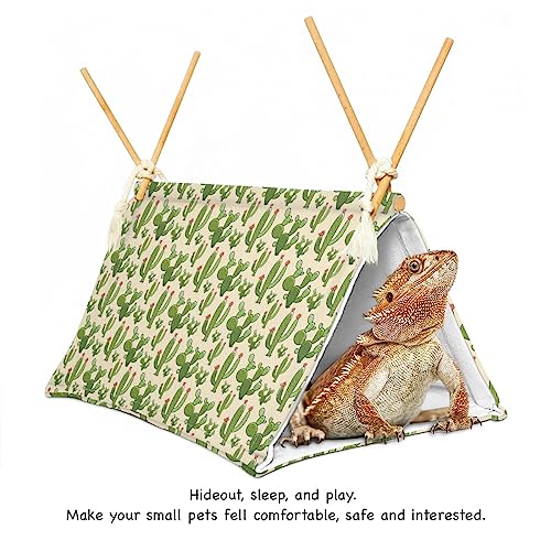Bearded Dragon Reptile Sleeping Bed Tent Hide Tank Decor Accessories Habitat Shelter for Lizard Bearded Dragon Leopard Gecko (Cactus 1)