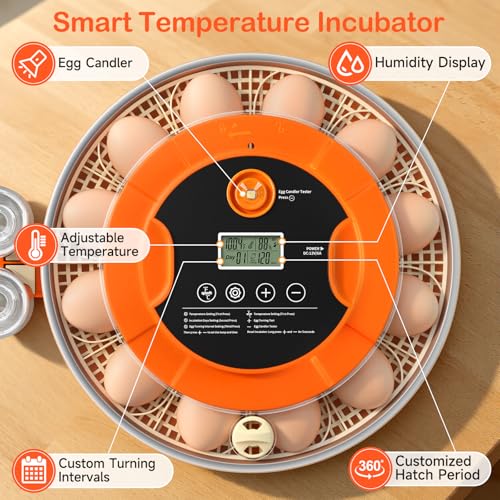 18 Egg Incubators for Hatching Eggs, Automatic Egg Turning and Humidity Control Incubator for Hatch Chicken Duck Quail Pigeon Pheasant Partridge Home Classroom Lab- - size: 18H