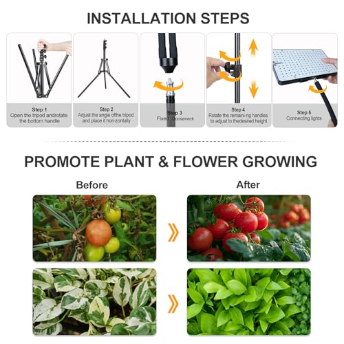 Grow Lights for Indoor Plants 100W, Natural Sunlight Full Spectrum Plant Growing Lamps for Houseplants & Bonsai Tree, 4/8/12/16/20 Hr Timer Plant Light Auto On/Off Everyday - size: 4Head Stand(100W)