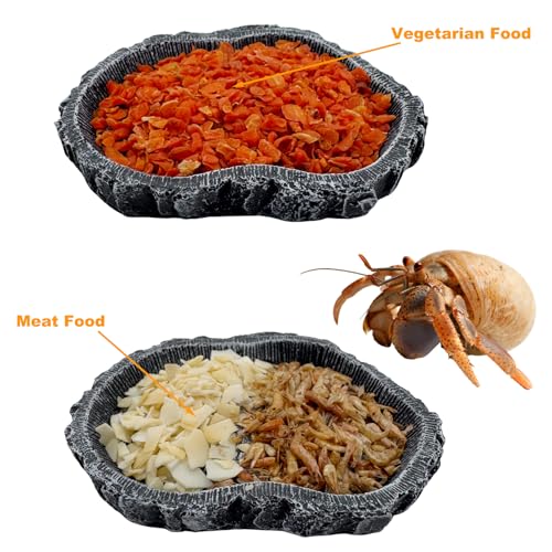 2 Pack Shallow Reptile Food Bowls, Reptile Feeding Terrarium Bowls for Bearded Dragon Lizard Frog Gecko Tortoise Hermit Crab Snail (Black) - color: Black - 2 Pack Shallow Bowls
