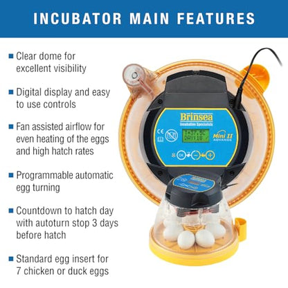 Brinsea Mini II Advance Complete Classroom Egg Hatching Incubation Kit | Inspire students! Includes incubator, all accessories & lesson plans for effortless egg hatching in the classroom or at home - size: Classroom Kit, 7 Eggs