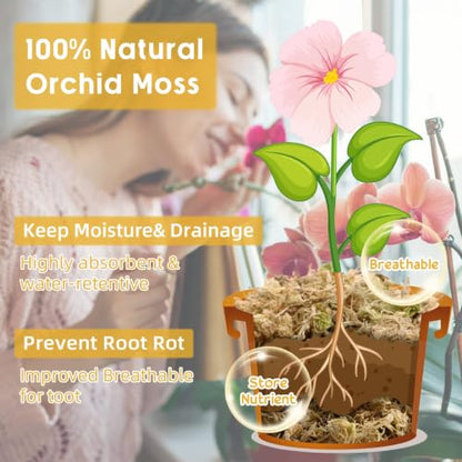 3.3LB Sphagnum Moss for Plants- 60QT Natural Long Fibers Orchid Moss | Moisture Retention & Drainage Balance, Plant Moss for Orchids, Succulents, Carnivorous, Ferns, Reptile Bedding & Terrariums - size: 60 QT(3.3 lb)