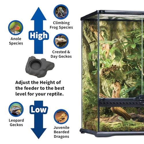 Pangea Silicone Gecko Feeding Ledge - Magnetic Mini Food Dish, Black | 4.125" x 2.625" x 1.18" - Fits 0.5oz Feeding Cups, Easy to Clean Silicone Build - 1.625" x 0.625" Size Cup Holder - color: Black