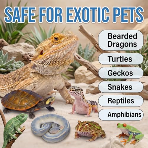 Lunza Reptile Eye Drops 30ml, Cleanses & Moisturizes, for Bearded Dragons, Turtles, Snakes, Lizards & Amphibians, with Manuka Honey & Hyaluronic Acid