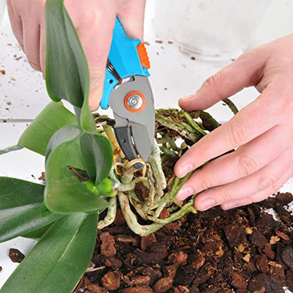 Doter Organic Orchid Potting Bark 1 QT, Featured Chunks Bark Garden Soil Amendment Mix for Proper Root Development of Phalaenopsis, Cattleyas and More