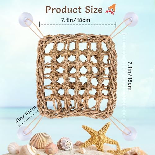 Hermit Crab Climbing Toys,Lizard Seagrass Mat,Hermit Crab Hammock with Suction Cups,Hermit Crab Supplies Decor Habitat,Small Reptile Tank Accessories for Guinea Pigs Hamsters Geckos (Square) - size: Square