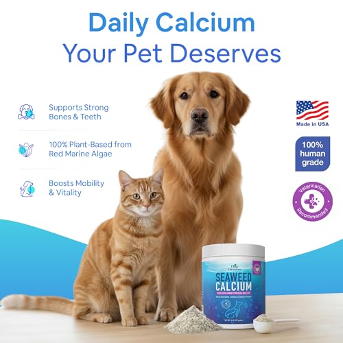 Seaweed Calcium Powder for Dogs and Cats - Vet Recommended Calcium Supplement for Dogs with 72 Trace Minerals, Wild Icelandic Marine Algae for Strong Bones, Teeth, Joints and Muscles, 14oz