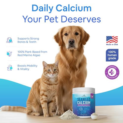 Seaweed Calcium Powder for Dogs and Cats - Vet Recommended Calcium Supplement for Dogs with 72 Trace Minerals, Wild Icelandic Marine Algae for Strong Bones, Teeth, Joints and Muscles, 14oz