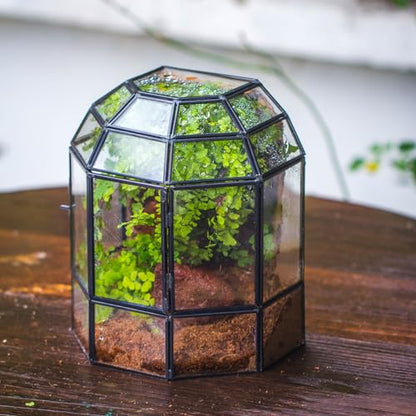 NCYP Half Dome Geometric Glass Terrarium with Door, Closed Moss Planter Pot, Miniature Landscape Container, Indoor Tabletop Decor, Black (Terrarim Only)