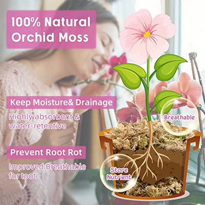 10OZ Sphagnum Moss for Plants - 12QT Natural Long Fibers Orchid Moss | Moisture Retention & Drainage Balance, Plant Moss for Orchids, Succulents, Carnivorous, Ferns, Reptile Bedding & Terrariums - size: 12 QT(10 oz)