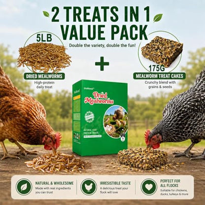 5LB Dried Mealworms + 175g Treat Cake for Chickens & Wild Birds | Dual-texture feeding combo, high-protein supplement, flexible feeding ways, compact storage packaging for flock daily care