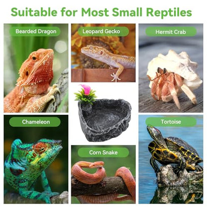 Reptile Water Dish Food Bowl,Corner Rock Terrarium Feeding Bowl Hermit Crab Water,Reptile Feeder Food and Water Dish,Tortoise, Lizard, Gecko, Chameleon, Bearded Dragon