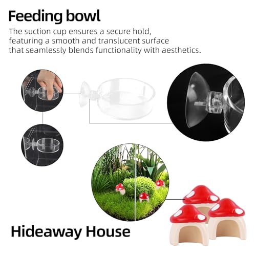 Jumping Spider Enclosure Kit with 3 Mushroom Hides 1 Feeding Dish- 10x6x6 Inch Acrylic Vertical Reptile Tank for Tarantulas, Mantis, Hermit Crabs & Small Pets (Clear)