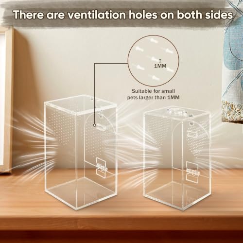 Set of 2 Jumping Spider Enclosure, No Assembly Required | 0.8~1mm Micro-Vent Acrylic Terrarium, Prevents Fruit Flies Escaping, Arboreal Habitat for Praying Mantis and Small Insects - size: 1mm