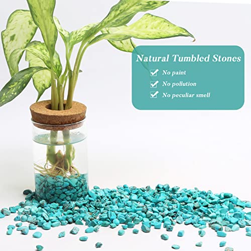QICQDRAM Polished Gem Stones Rocks Howlite Turquoise Crystals Natural 1LB | Small Tumbled Stones Crystal Chips Bulk for Healing Crystals Fish Tank Gravel Vase Filler (405g/14.28oz) - color: Turquoise