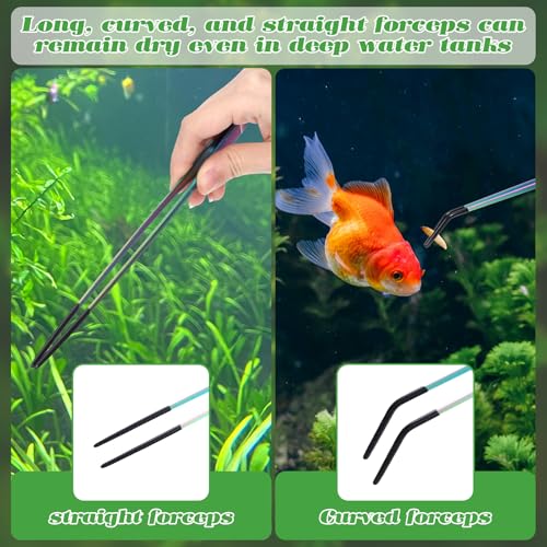 2 Pcs Stainless Steel Reptile Feeding Tongs with Rubber Tip, Aquarium Tweezers, Straight Curved Tweezers, Feeder Tools for Bearded Dragon, Lizards, Terrarium Supplies (10.6 Inch, Color)