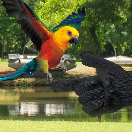 Bird Training Anti-Bite Gloves, Bite Proof Gloves, Small Animal Handling Chewing Protective for Small Animal Pet(Black