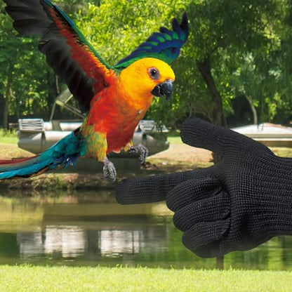 Bird Training Anti-Bite Gloves, Bite Proof Gloves, Small Animal Handling Chewing Protective for Small Animal Pet(Black