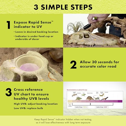 Zilla Rapid Sense UV Detecting Pet Reptile Terrarium Décor, Detects UVB Levels, Crocodile Skull, Large - size: Large