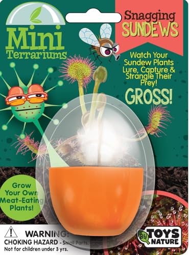 Toys By Nature Mini Terrarium Carnivorous Plant Bundle, 100% USA Made Complete Starter Kit Includes 2 Each of Flytraps, Pitcher Plants, Sundews, Easy to Grow Planting Seeds Just Add Water - color: Meat-Eating Bundle